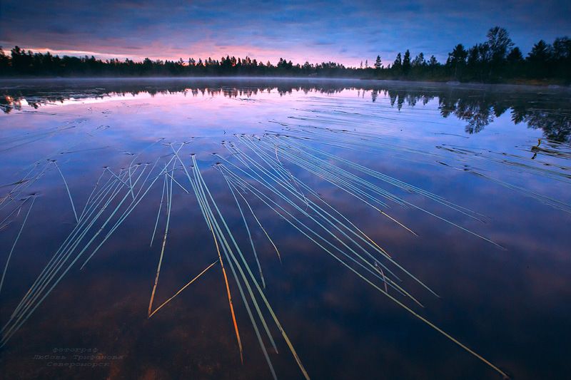 пейзаж, природа, кольский п-ов, *** фото превью