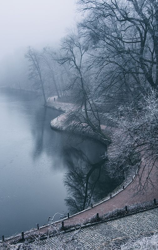 Опустевший паркphoto preview