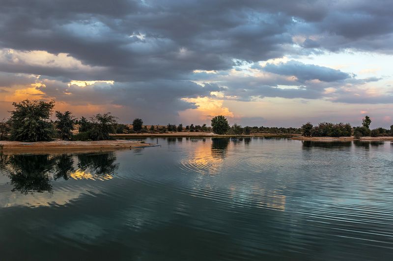 пустыня, озеро, заповедник, природа, Al Qudra Озёра Al Qudraphoto preview