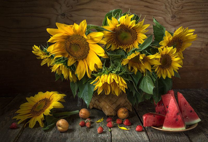 красивый натюрморт с подсолнухами,фрукты,ягоды,арбуз,абрикосы,клубника,художественное фото,искусство,творчество,костюченко людмила. Подсолнухи с арбузом.photo preview
