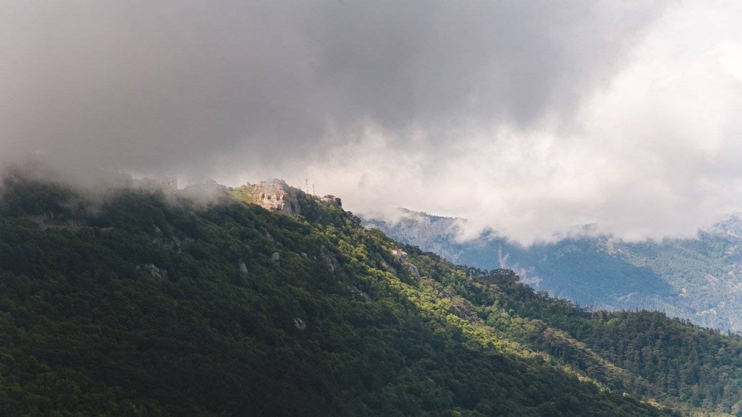 , Коровин Кирилл