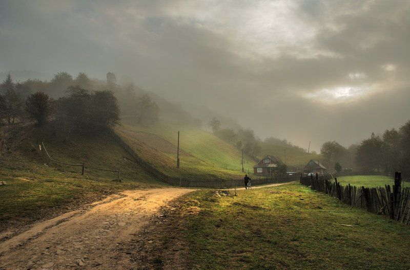 Домойphoto preview