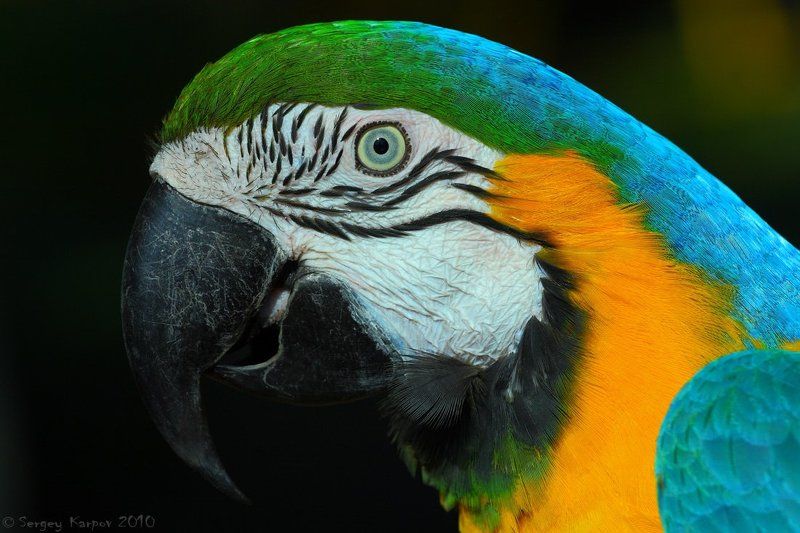 Профиль...photo preview