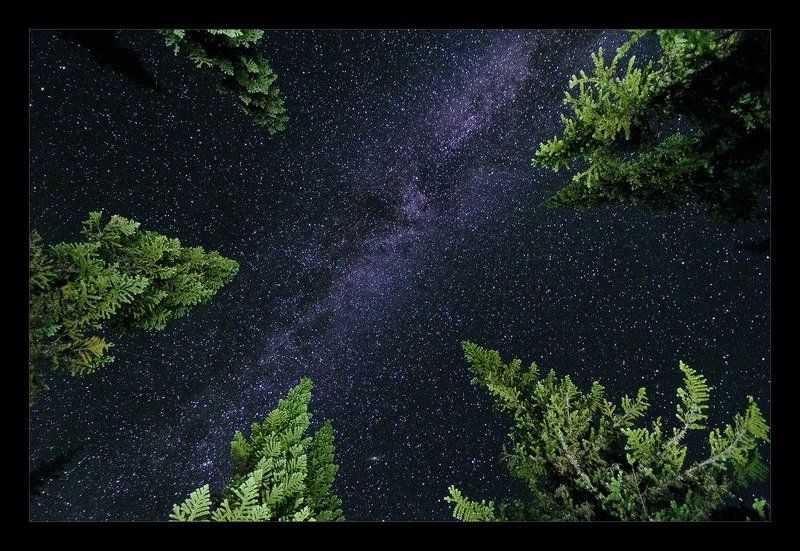 Звёздные стражиphoto preview