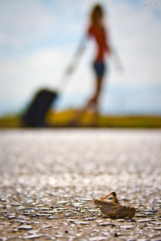 Там где всех подстерегает смерть, она бессмертнаphoto preview