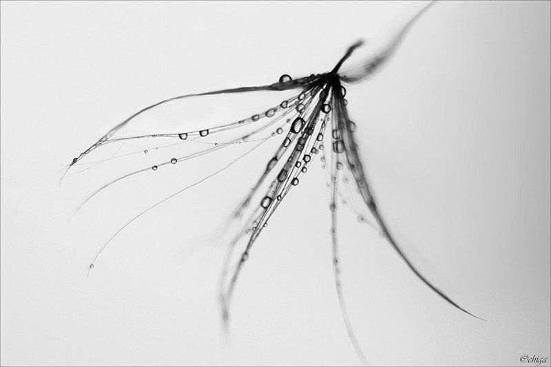 вода, капли Странные танцыphoto preview