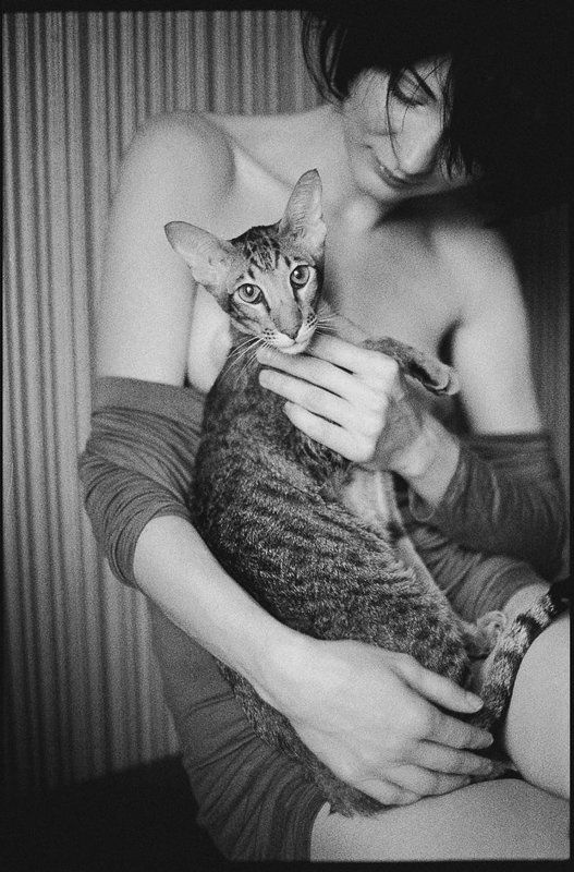 кот, ориентал, девушка Cats Iphoto preview