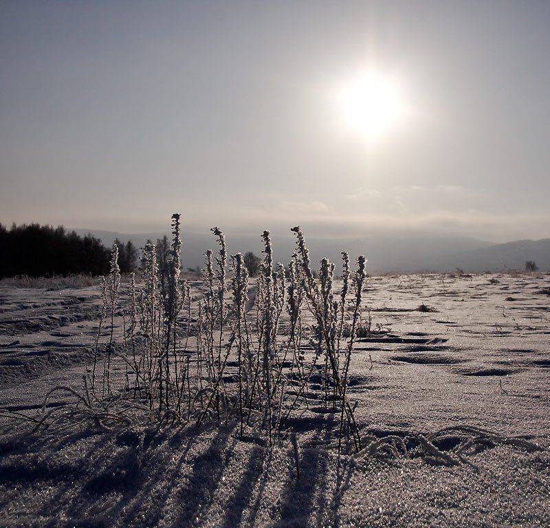 Провожая солнце.... Автор: Качурин Алексей декабрь, Качурин Алексей