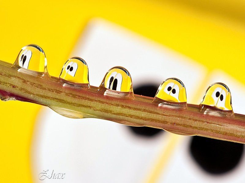 макро, капли Просто улыбнитесь :-)photo preview