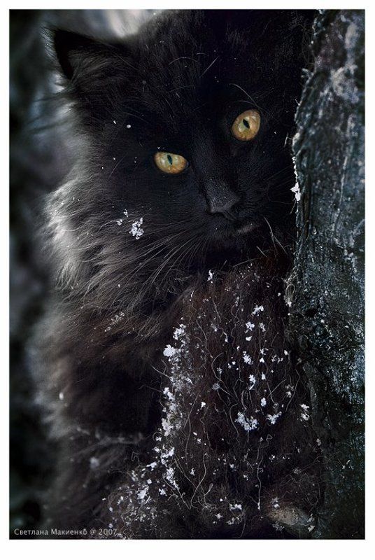 Мою несравненную с днем варенья:)photo preview