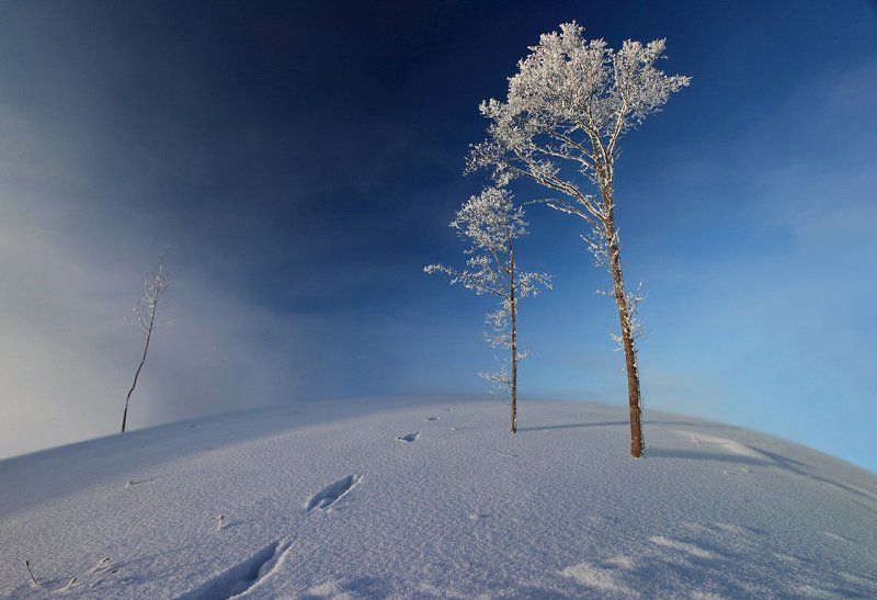 На краю Землиphoto preview