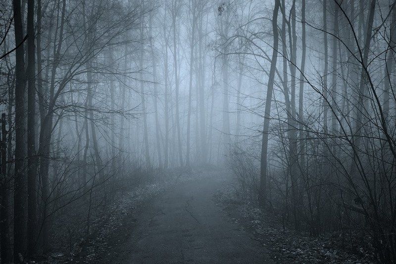 Foggy roadphoto preview