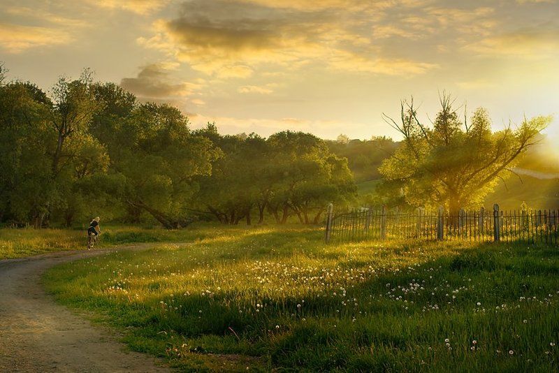 велодорожкаphoto preview