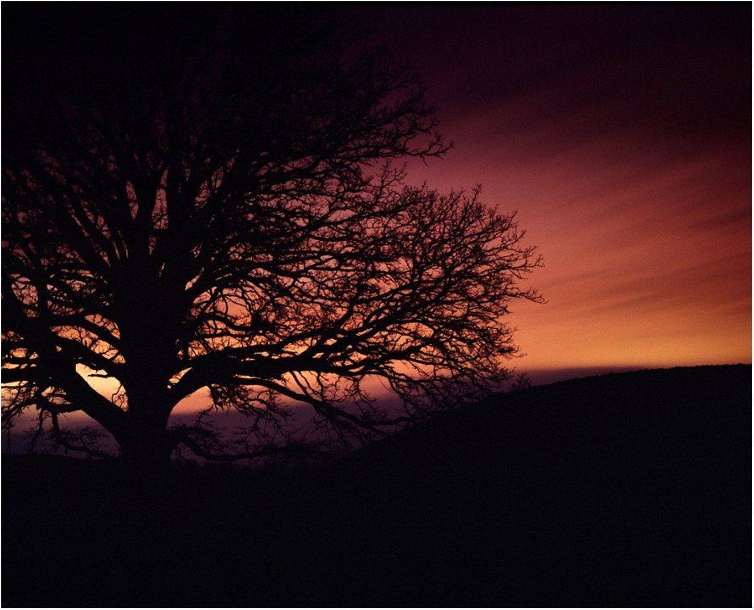 *. Автор: Роман Путинцев , Роман Путинцев