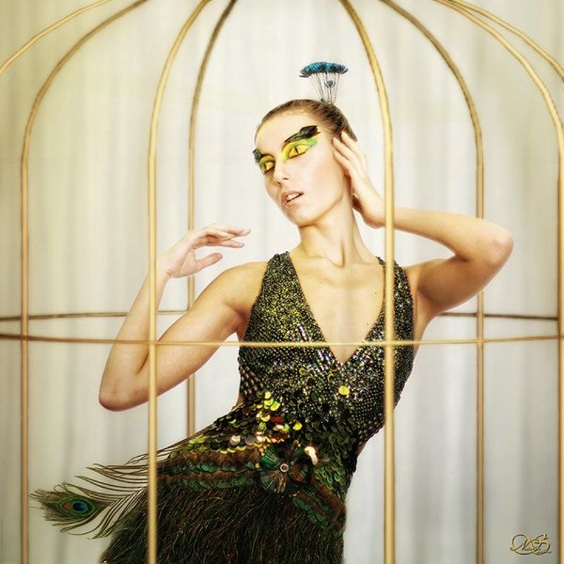 павлинкаphoto preview