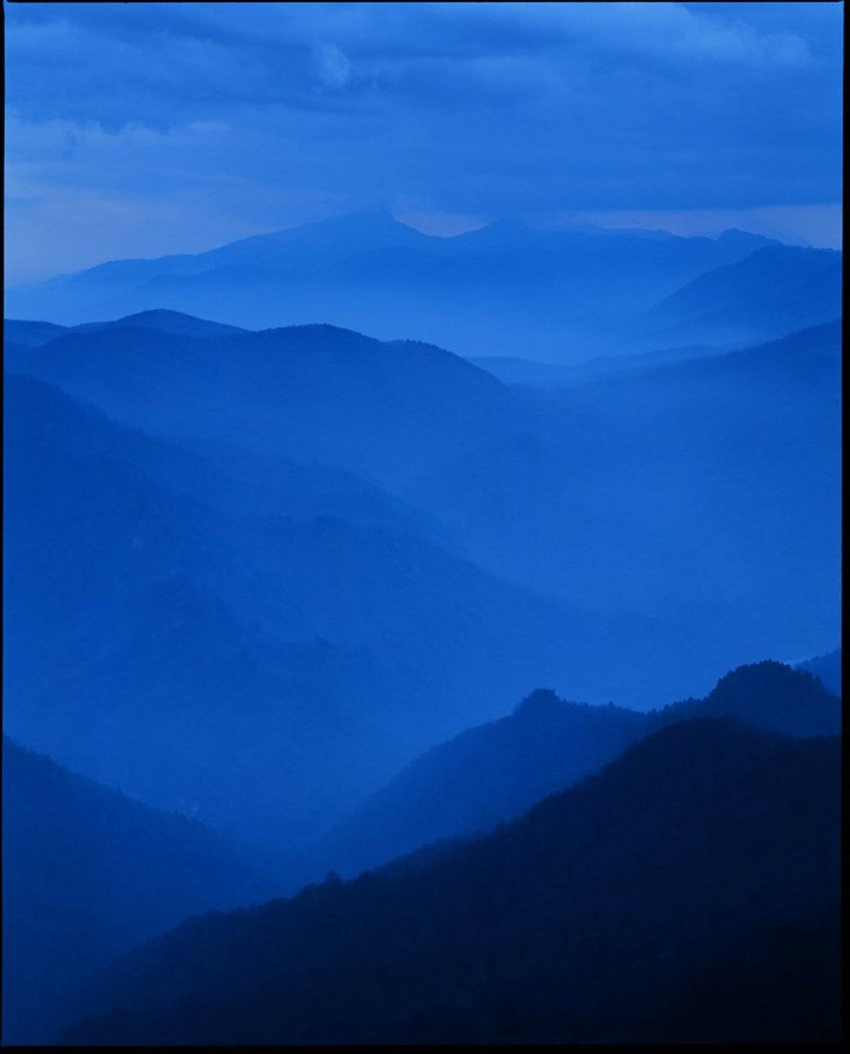 mamiya, kodak, 100g, Роман Путинцев