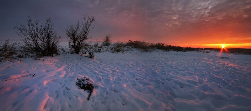 Пикник на обочинеphoto preview