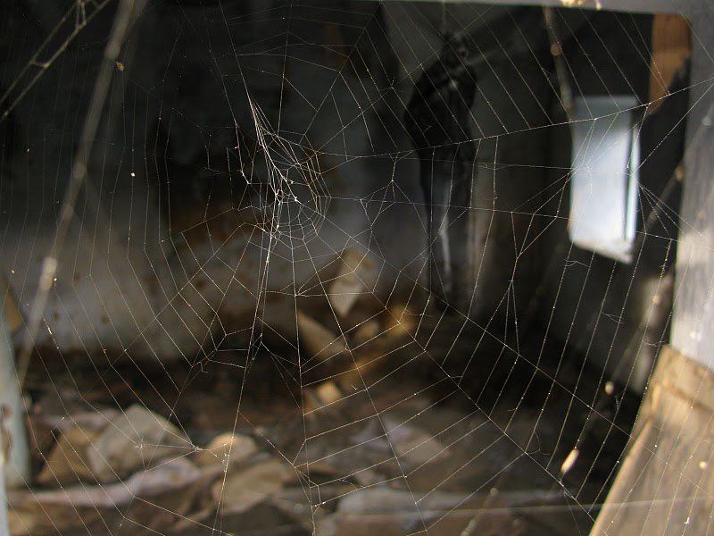 Переплетая былое...photo preview