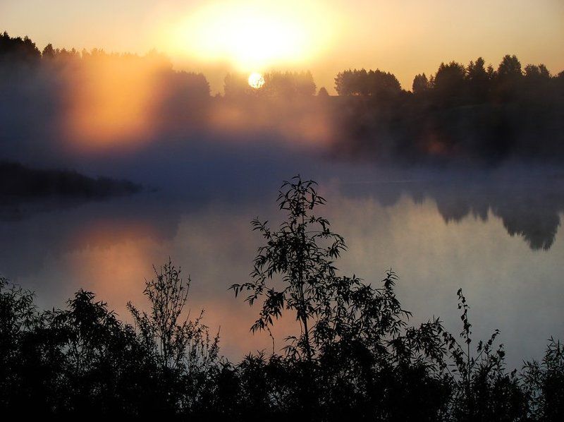 утроphoto preview