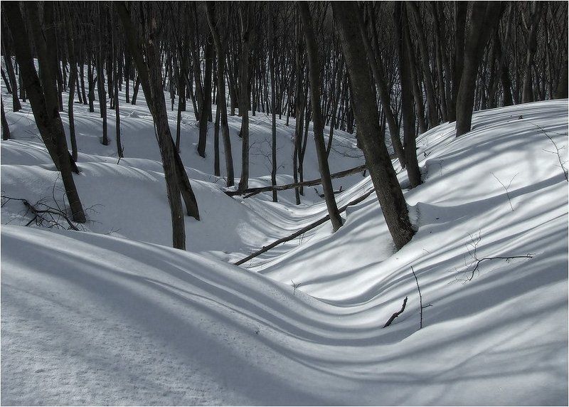 Узоры зимыphoto preview