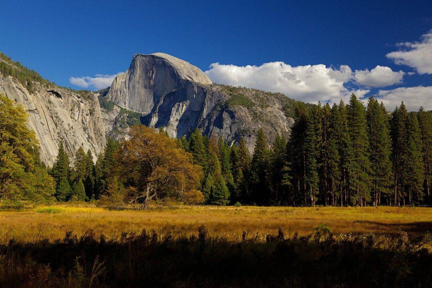 , Евгений Васенёв