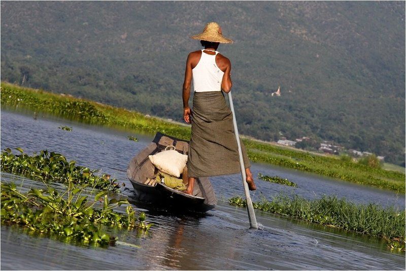мьянма,озеро,инле,лодка Вертикаль...photo preview