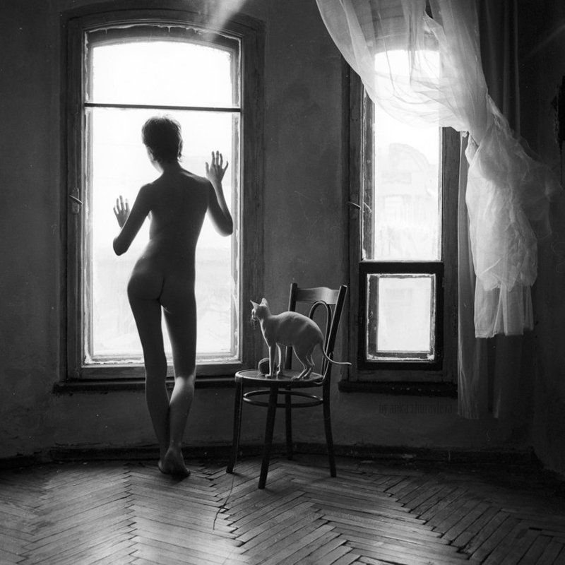 пленка, чб, mamiya, ilford, сфинкс, кошка, ню, окно, зима белый-белый зимний деньphoto preview