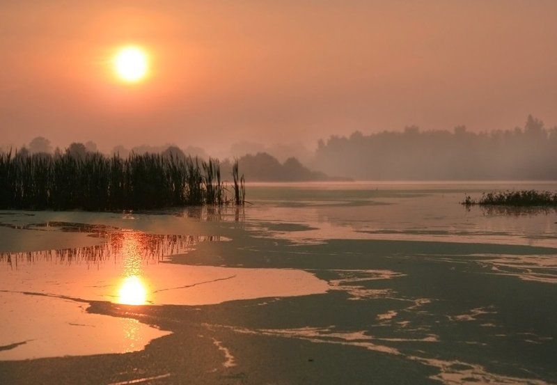 Розовый рассветphoto preview