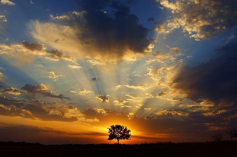 закатphoto preview