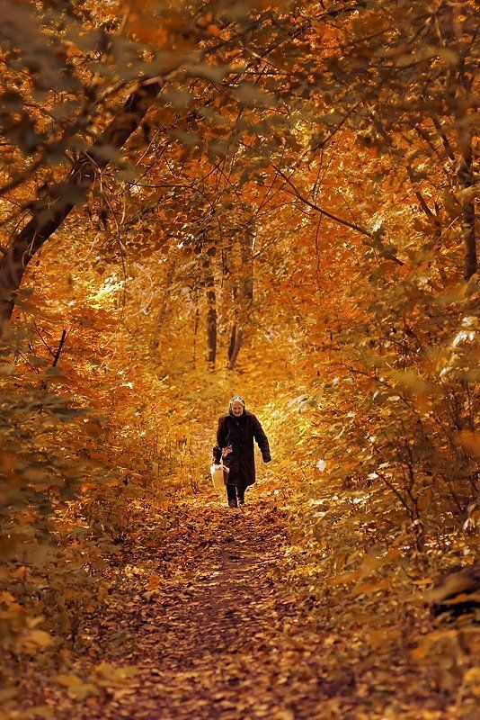 дорога, родник, весна, осень старость, за водой road from the springphoto preview