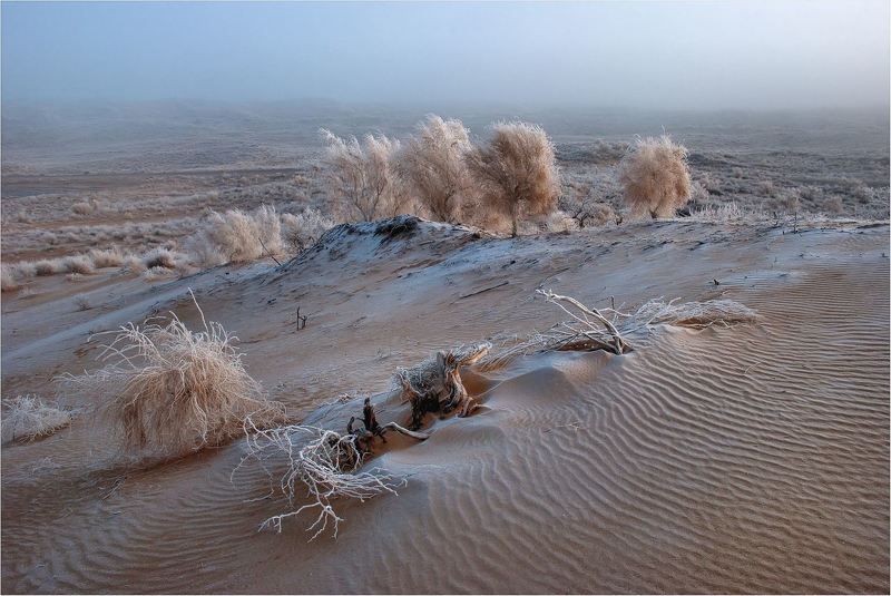 природа Без цивилизации....photo preview