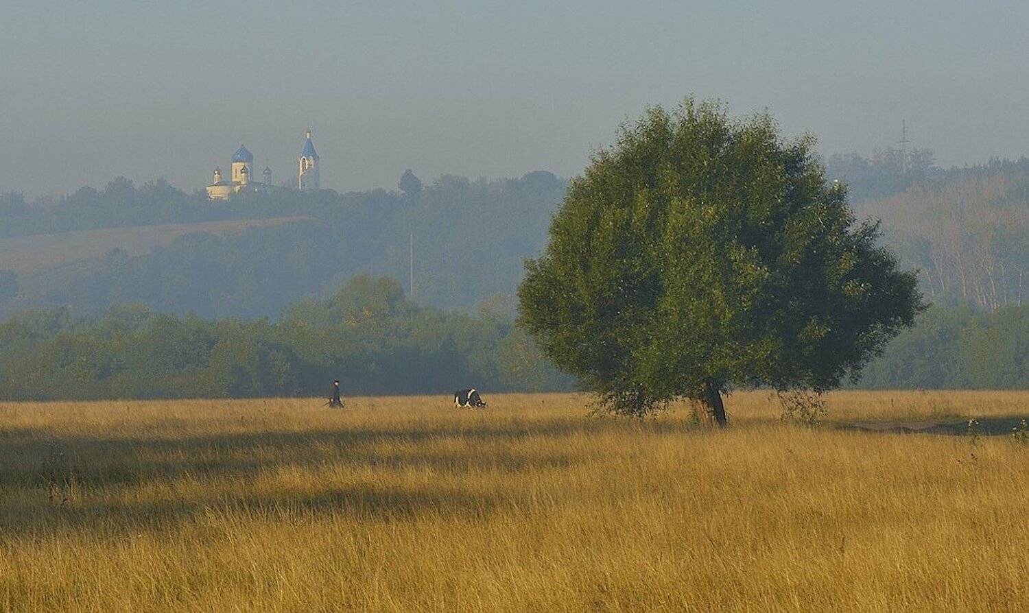 Утро... работа.... Автор: Андрей Балабин , Андрей Балабин