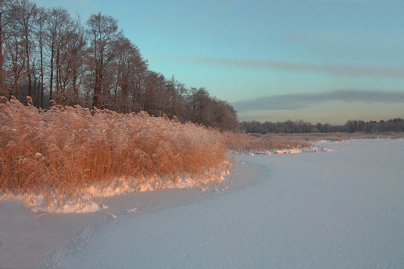 Первые лучи.photo preview