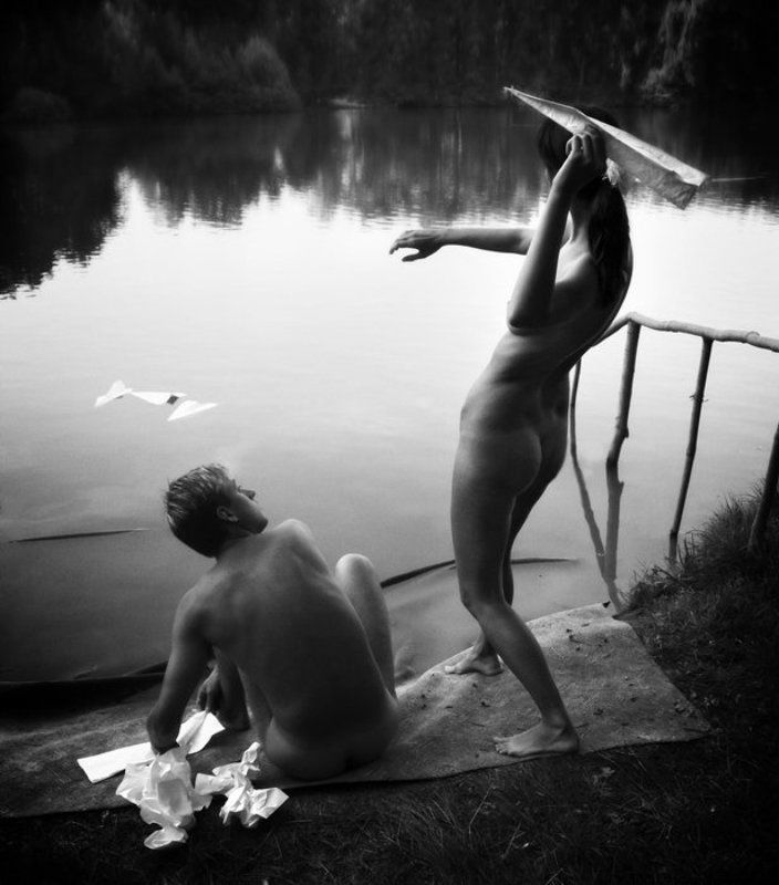 swallows Swallowsphoto preview