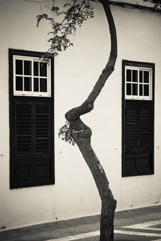 лансароте ***photo preview