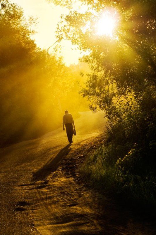 домойphoto preview