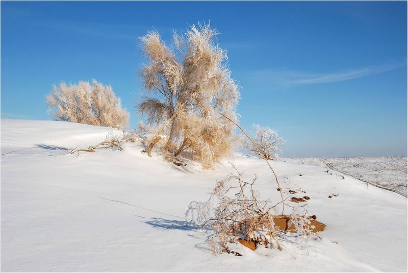 пирода Ну здравствуй.......photo preview