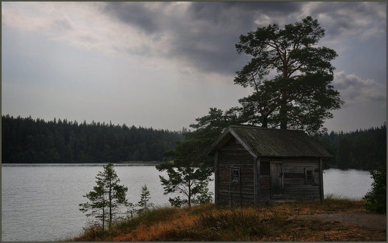 ладога, валаам, остров, озеро, таможня, тучи, берег, сосны Таможняphoto preview