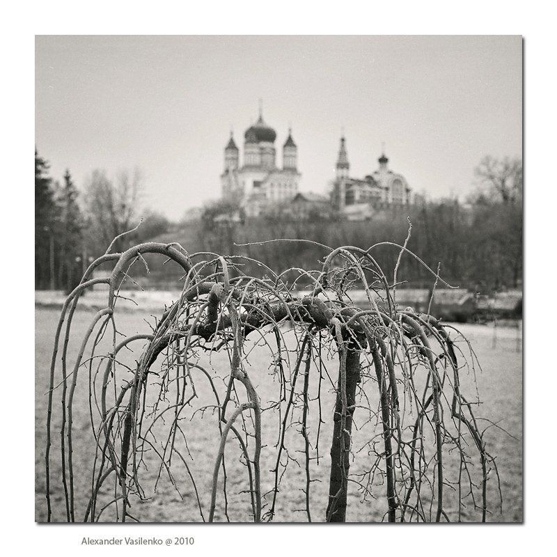 Two different worlds...photo preview