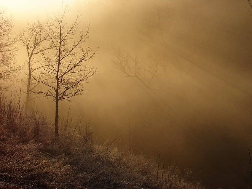 утренняя. Автор: Андрей , Андрей