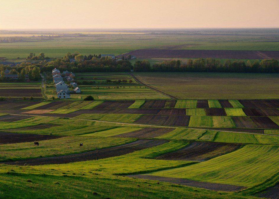 Заплатки. Автор: Владимир , Владимир