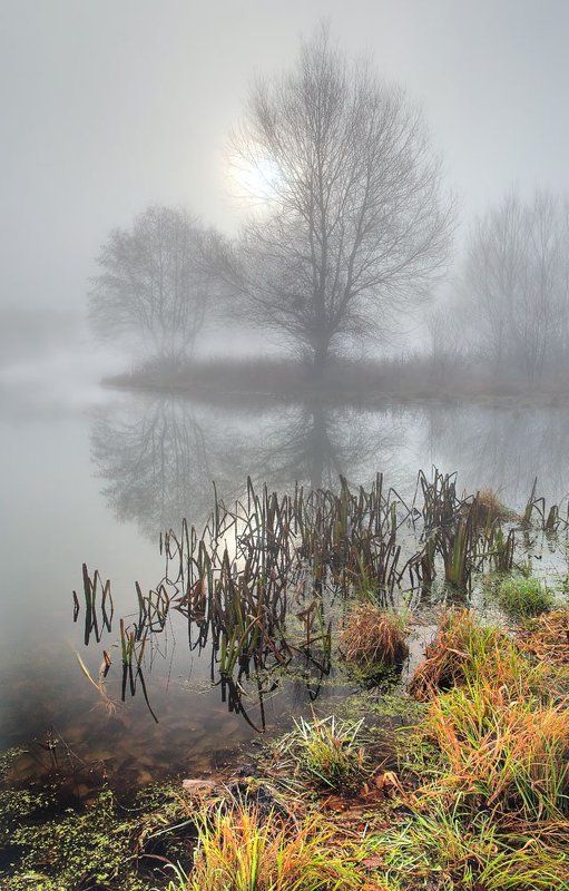 Туманное утроphoto preview