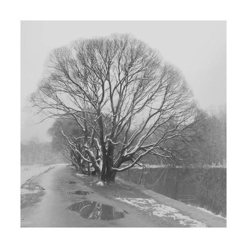 Поздняя осеньphoto preview