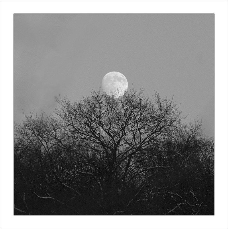 луна, лысая гора Где-то на Лысой Горе...photo preview