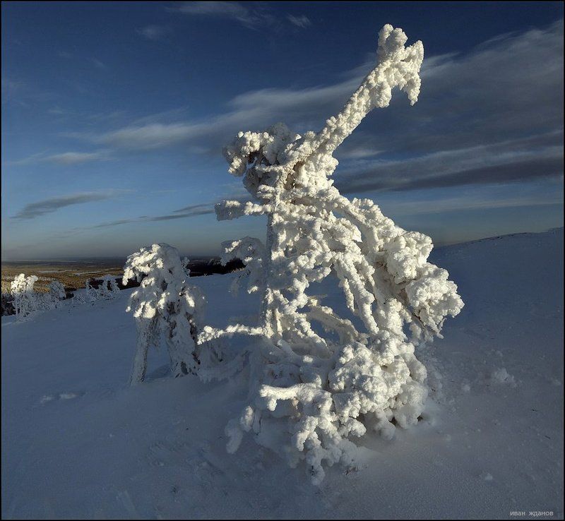 зима, карелия Причуды зимыphoto preview
