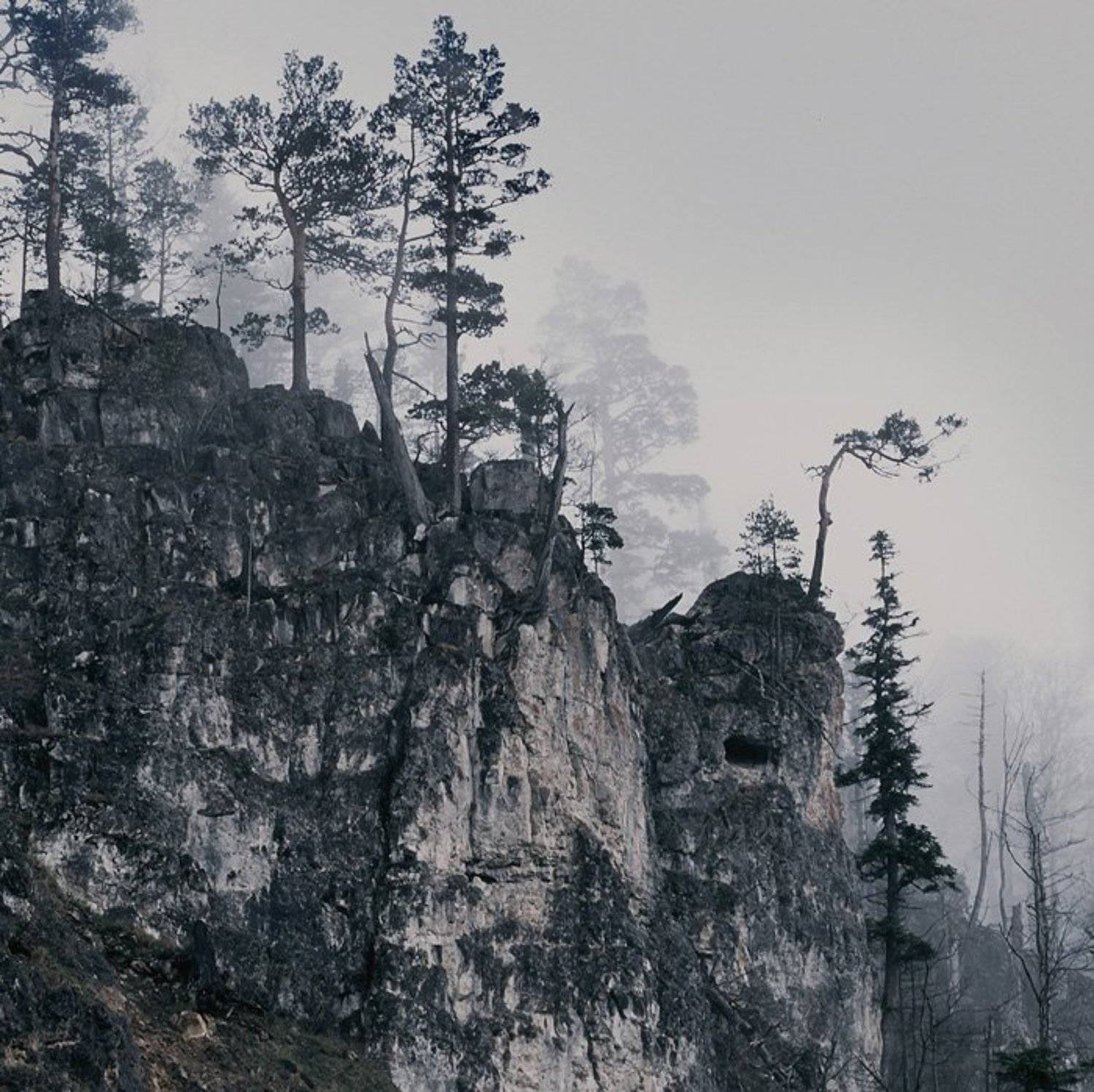 *. Автор: Роман Путинцев mamiya, fuji, rpdiii, Роман Путинцев