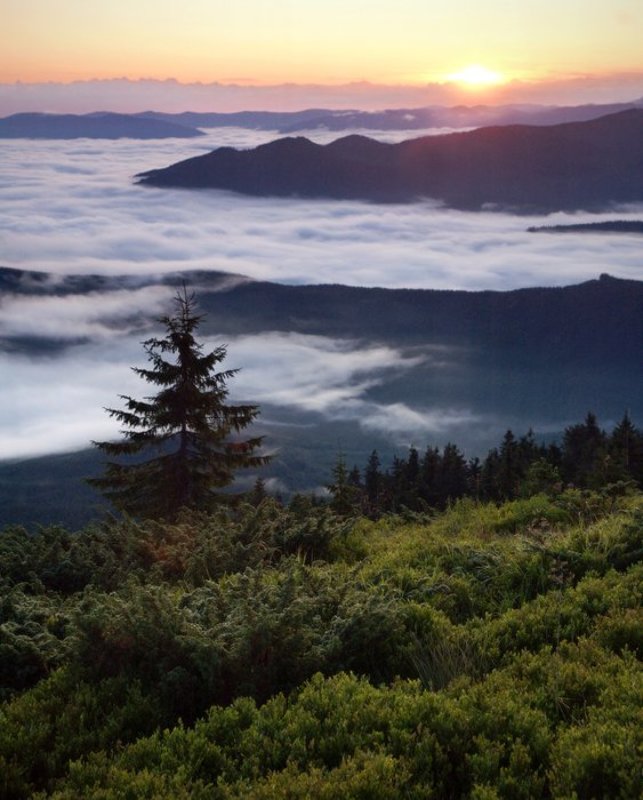 карпаты, природа, пейзаж, панорама, горы, рассвет ***photo preview