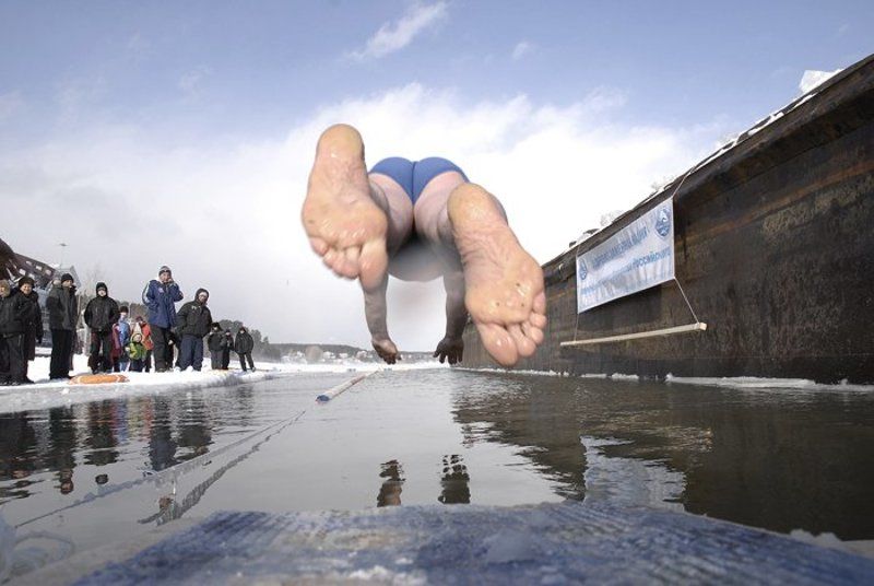 из жизни моржей. соревнования фото превью