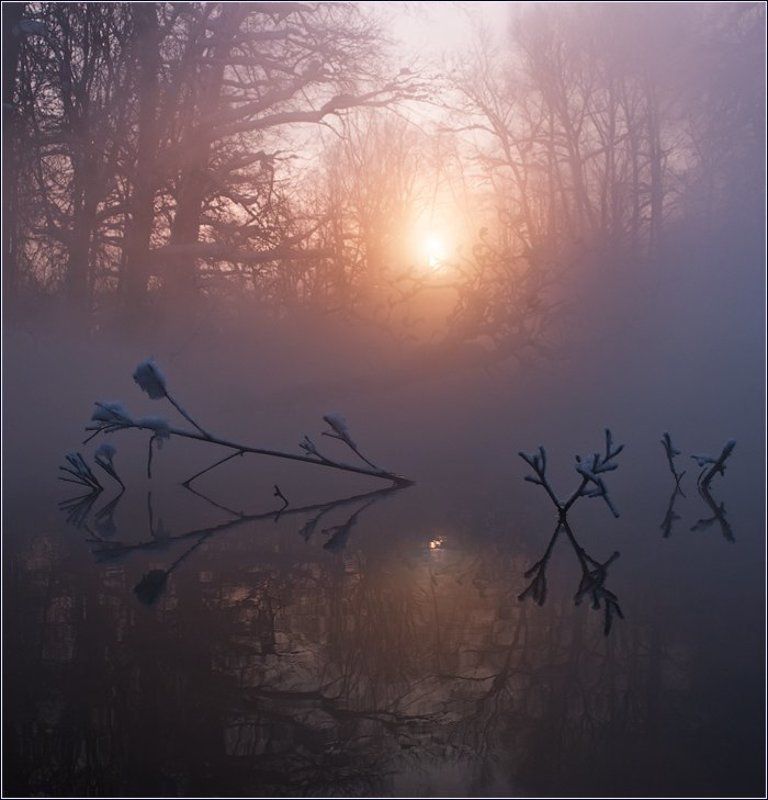 Там, куда не пробиться светуphoto preview