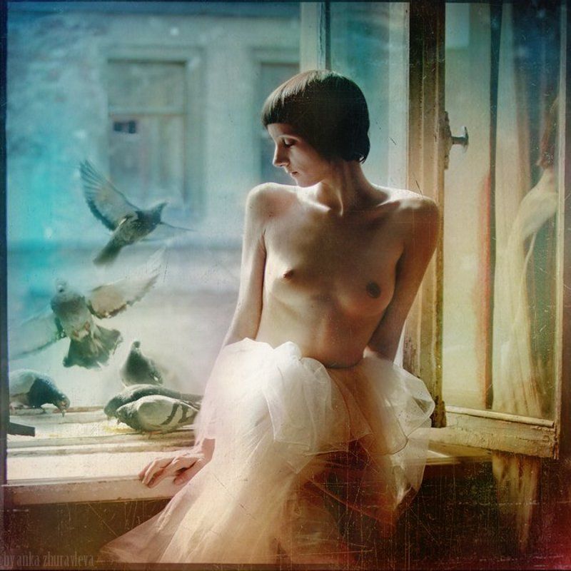 утро с голубямиphoto preview